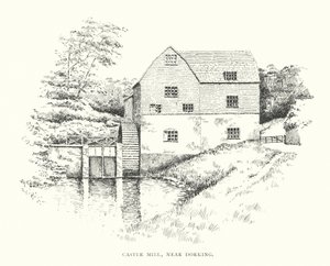 Castle Mill, w pobliżu Dorking (litografia) autorstwa Duncan Moul