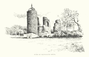 Ruiny Brambletye House (litografia) autorstwa Duncan Moul