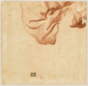 Studium draperii (odwrócone) autorstwa Dutch 17th Century