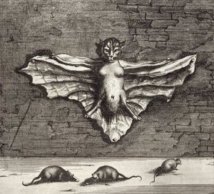 Nietoperz znany jako Latający Kot, z Chin Ilustrowany przez Athanasius Kircher (1601-80) 1667 autorstwa Dutch School