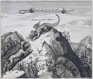 Góra w prowincji Jiangxi ze skałami znanymi jako smok i tygrys, z Chin Ilustrowany przez Athanasiusa Kirchera (1601-80) 1667 autorstwa Dutch School