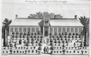 Ogród holenderski, z De Nederlandze Hesperides Jana Commelina, wydany 1676 autorstwa Dutch School