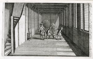 Przenoszenie drzew do ogrodu na lato, z De Nederlandse Hesperides Jana Commelina, opublikowane 1676 autorstwa Dutch School