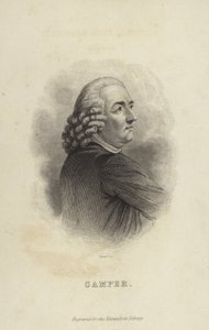 Piotr Camper autorstwa Dutch School