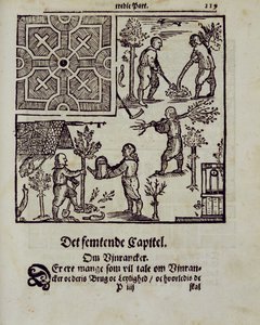 Sadzenie drzew, z książki „Holenderski ogrodnik” Johanna van der Groena, opublikowanej w 1699 r. autorstwa Dutch School