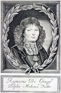Regnier de Graaf, ok. 1670 autorstwa Dutch School