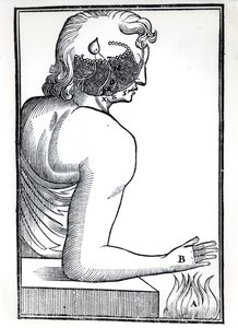 Percepcja zmysłów z De Homine Figuris Rene Descartes (1596-1650) opublikowanej w Amsterdamie, 1677 autorstwa Dutch School