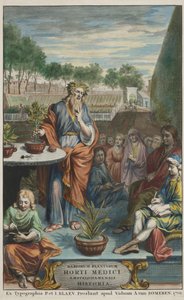 Strona tytułowa z "Horti Medici Amstelodamensis Rariorum Plantarum Historia" vol. II, autorstwa Jana Commelina i Caspara Commelina autorstwa Dutch School