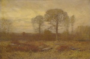 Listopad 1904-1905.
