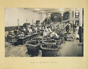 Butelkowanie szampana, z La France Vinicole, wydane przez Moet & Chandon, Epernay (fotolitho)