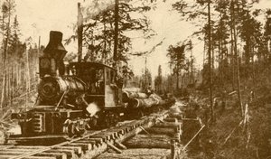 Kolejka leśna, Kolumbia Brytyjska, 1930. autorstwa ENA