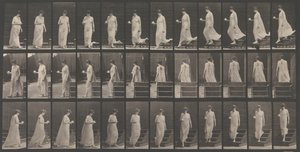 Lokomocja zwierząt. Badanie elektrofotograficzne... ruchów zwierząt. Rozpocznij..., lata 80. XIX wieku. autorstwa Eadweard Muybridge