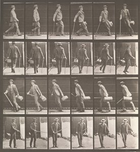 Lokomocja zwierząt. Badanie elektrofotograficzne... ruchów zwierząt. Rozpocznij..., lata 80. XIX wieku. autorstwa Eadweard Muybridge