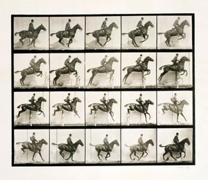 Człowiek i koń skaczący przez płot, 1887 autorstwa Eadweard Muybridge