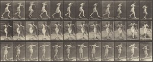 Numer rejestracyjny 175. Przeprawa przez strumyk na pomostach z wędką i puszką, 1887 r. autorstwa Eadweard Muybridge