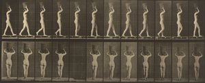 Numer płyty 34. Chodzenie i noszenie 15-funtowego. kosz na głowie, ręce wzniesione, 1887 r. autorstwa Eadweard Muybridge