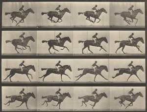 Numer rejestracyjny 626. Galop, klacz czystej krwi gniadej, Annie G., 1887. autorstwa Eadweard Muybridge