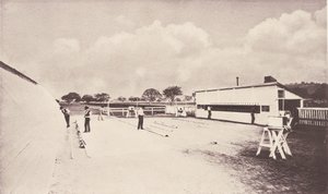 Koń w ruchu, jak pokazano w Instantaneous Photography. Ze studium o zwierzętach..., 1881-1882. autorstwa Eadweard Muybridge
