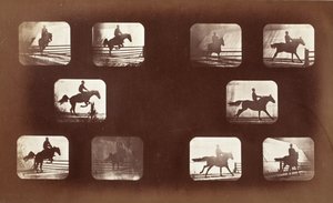Ruch zwierząt (mężczyzna na koniu przez przeszkody) autorstwa Eadweard Muybridge