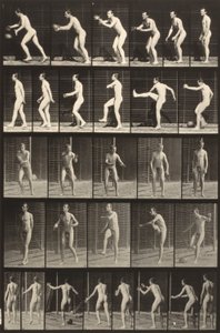 Ruch zwierząt (płyta 300) (Człowiek kopiący piłkę) autorstwa Eadweard Muybridge