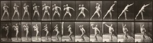 Ruch zwierząt (płytka 319) (Człowiek rzucający piłką) autorstwa Eadweard Muybridge
