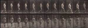Lokomocja zwierząt, płyta 467 autorstwa Eadweard Muybridge