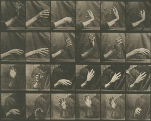 Ruch zwierząt, płyta 535 autorstwa Eadweard Muybridge