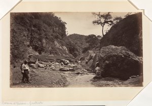 Barranca of Ynsiensi, Gwatemala autorstwa Eadweard Muybridge