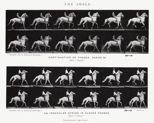 Eadweard Muybridge: The Amble (zdjęcie czarno-białe) autorstwa Eadweard Muybridge