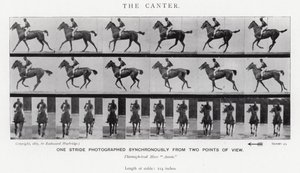 Eadweard Muybridge: Canter (zdjęcie czarno-białe) autorstwa Eadweard Muybridge