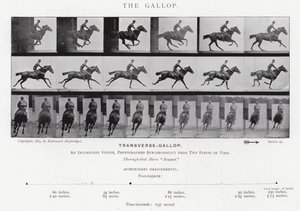 Eadweard Muybridge: Galop (zdjęcie czarno-białe) autorstwa Eadweard Muybridge