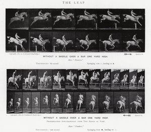 Eadweard Muybridge: The Leap (zdjęcie czarno-białe) autorstwa Eadweard Muybridge