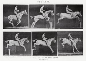 Eadweard Muybridge: The Leap (zdjęcie czarno-białe) autorstwa Eadweard Muybridge