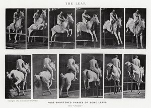 Eadweard Muybridge: Skok (zdjęcie czarno-białe) autorstwa Eadweard Muybridge