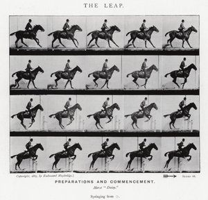 Eadweard Muybridge: Skok (zdjęcie czarno-białe) autorstwa Eadweard Muybridge