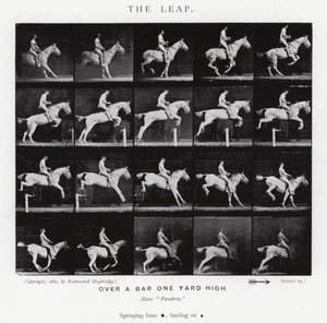 Eadweard Muybridge: The Leap (zdjęcie czarno-białe) autorstwa Eadweard Muybridge