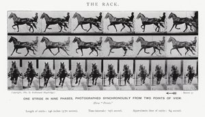 Eadweard Muybridge: The Rack (zdjęcie czarno-białe) autorstwa Eadweard Muybridge