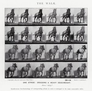 Eadweard Muybridge: The Walk (zdjęcie czarno-białe) autorstwa Eadweard Muybridge
