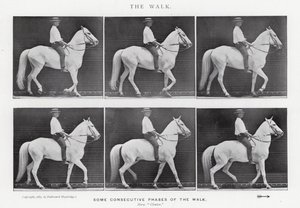 Eadweard Muybridge: The Walk (zdjęcie czarno-białe) autorstwa Eadweard Muybridge