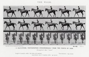 Eadweard Muybridge: The Walk (zdjęcie czarno-białe) autorstwa Eadweard Muybridge