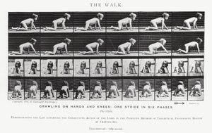 Eadweard Muybridge: The Walk (zdjęcie czarno-białe) autorstwa Eadweard Muybridge