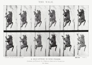 Eadweard Muybridge: The Walk (zdjęcie czarno-białe) autorstwa Eadweard Muybridge