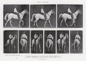 Eadweard Muybridge: The Walk (zdjęcie czarno-białe) autorstwa Eadweard Muybridge