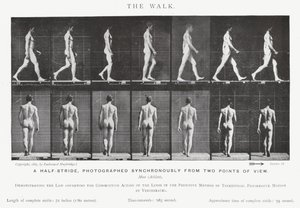 Eadweard Muybridge: The Walk (zdjęcie czarno-białe) autorstwa Eadweard Muybridge