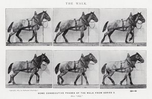 Eadweard Muybridge: The Walk (zdjęcie czarno-białe) autorstwa Eadweard Muybridge