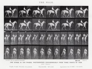 Eadweard Muybridge: The Walk (zdjęcie czarno-białe) autorstwa Eadweard Muybridge