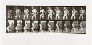 Mężczyzna podnoszący hantle, Tablica 324 z Animal Locomotion, 1887 autorstwa Eadweard Muybridge