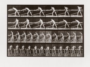 Mężczyzna strugający drewno, płyta 379 z Animal Locomotion, 1887 autorstwa Eadweard Muybridge