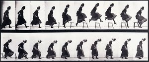 Studium wniosku, ok. 1872-1885 autorstwa Eadweard Muybridge