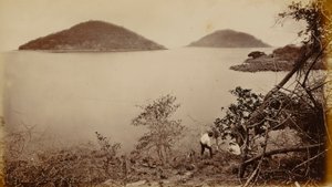 Perico i Flamenco - z wyspy Naos w Panamie autorstwa Eadweard Muybridge
